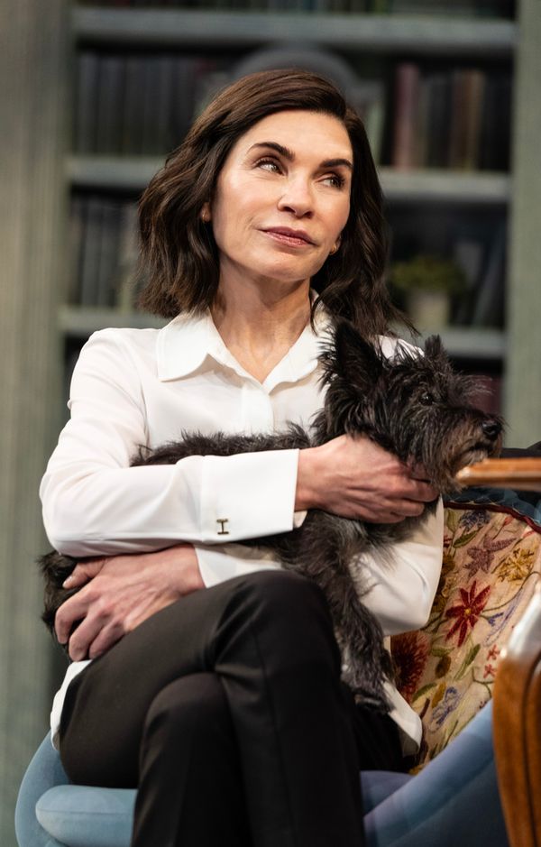 Julianna Margulies Photo