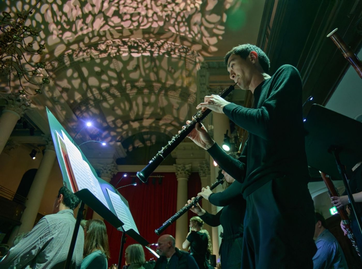 Review: THE ORCHESTRAL FOREST, Smith Square Hall Review: THE ORCHESTRAL FOREST, Smith Square Hall Image