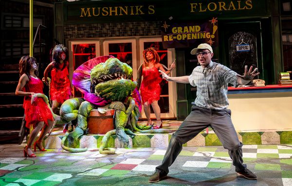 Photos: Music Theater Works' LITTLE SHOP OF HORRORS — photo 6 of 10