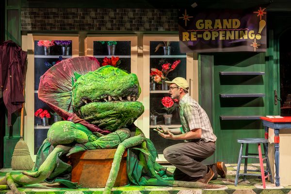 Photos: Music Theater Works' LITTLE SHOP OF HORRORS — photo 7 of 10