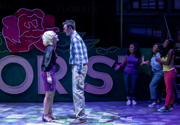 Photos: Music Theater Works' LITTLE SHOP OF HORRORS — photo 8 of 10