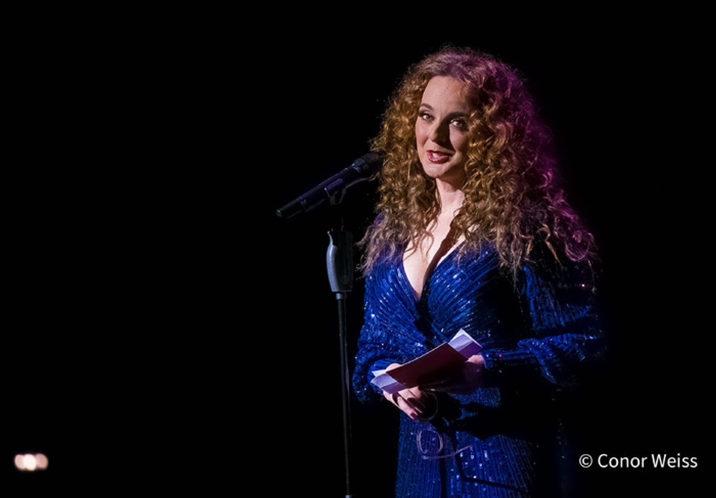 Photos: NYC's 2024 Cabaret Convention Ends Strong with EVERYTHING OLD IS NEW AGAIN  Image