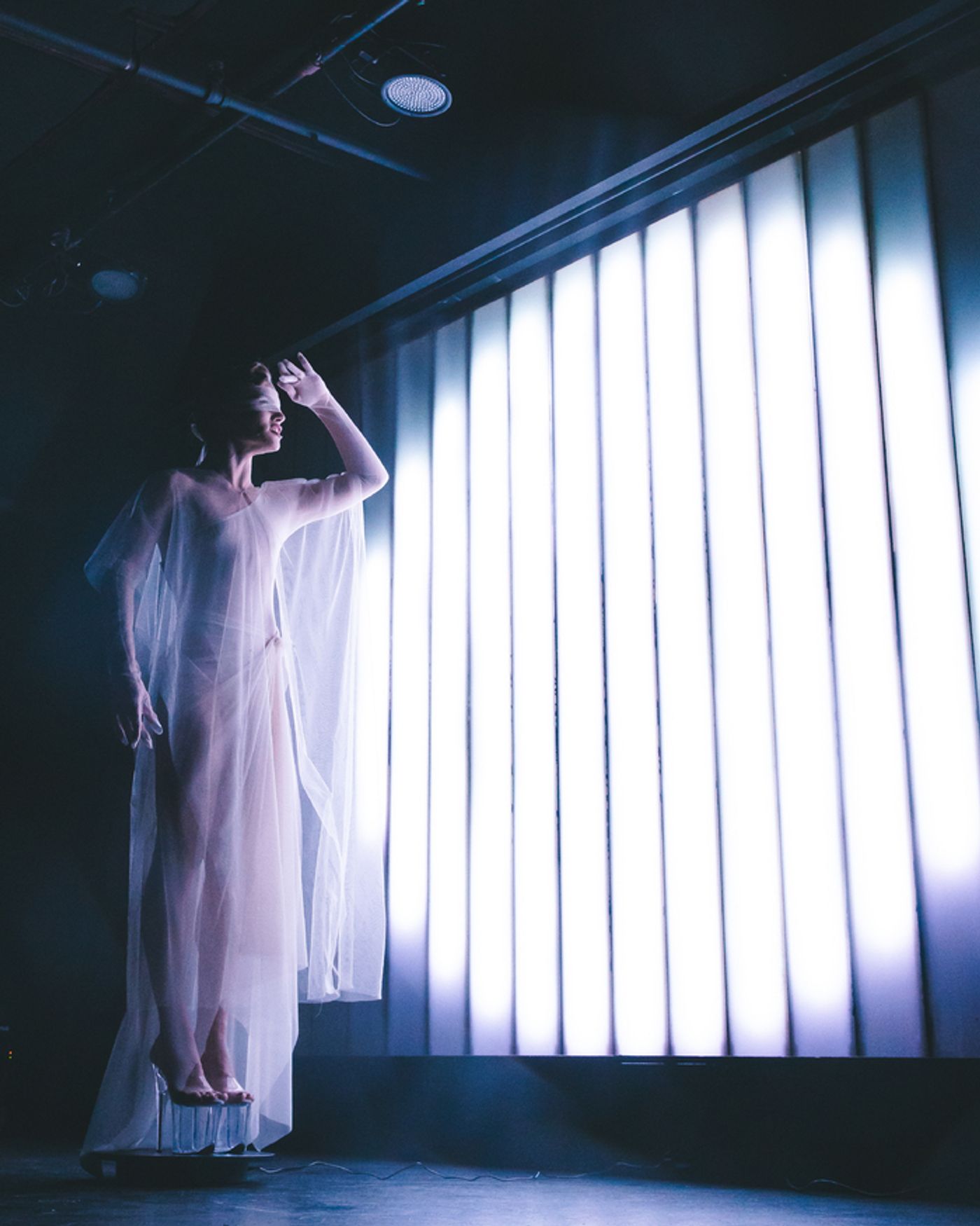 Photos: Go Inside The 2024 BREAKING THE BINARY THEATRE FESTIVAL Photos: Go Inside The 2024 BREAKING THE BINARY THEATRE FESTIVAL Image