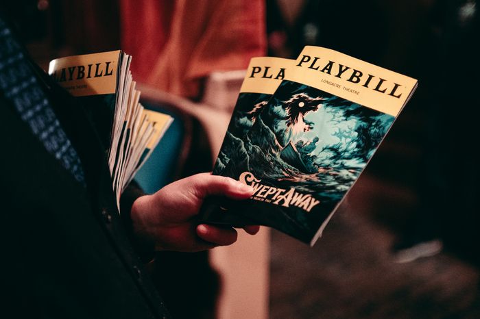 Photos & Video: SWEPT AWAY Begins Previews on Broadway — photo 5 of 9