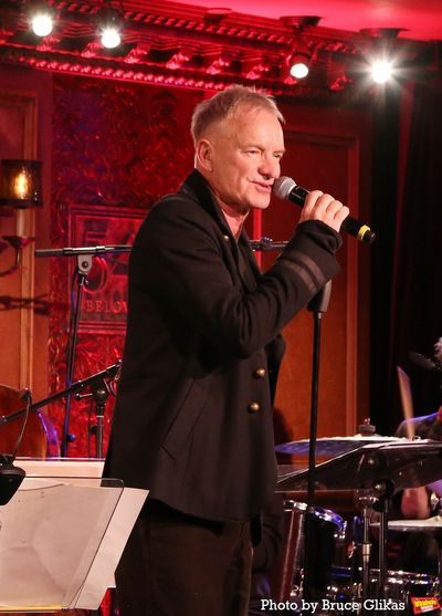 Sting Photo