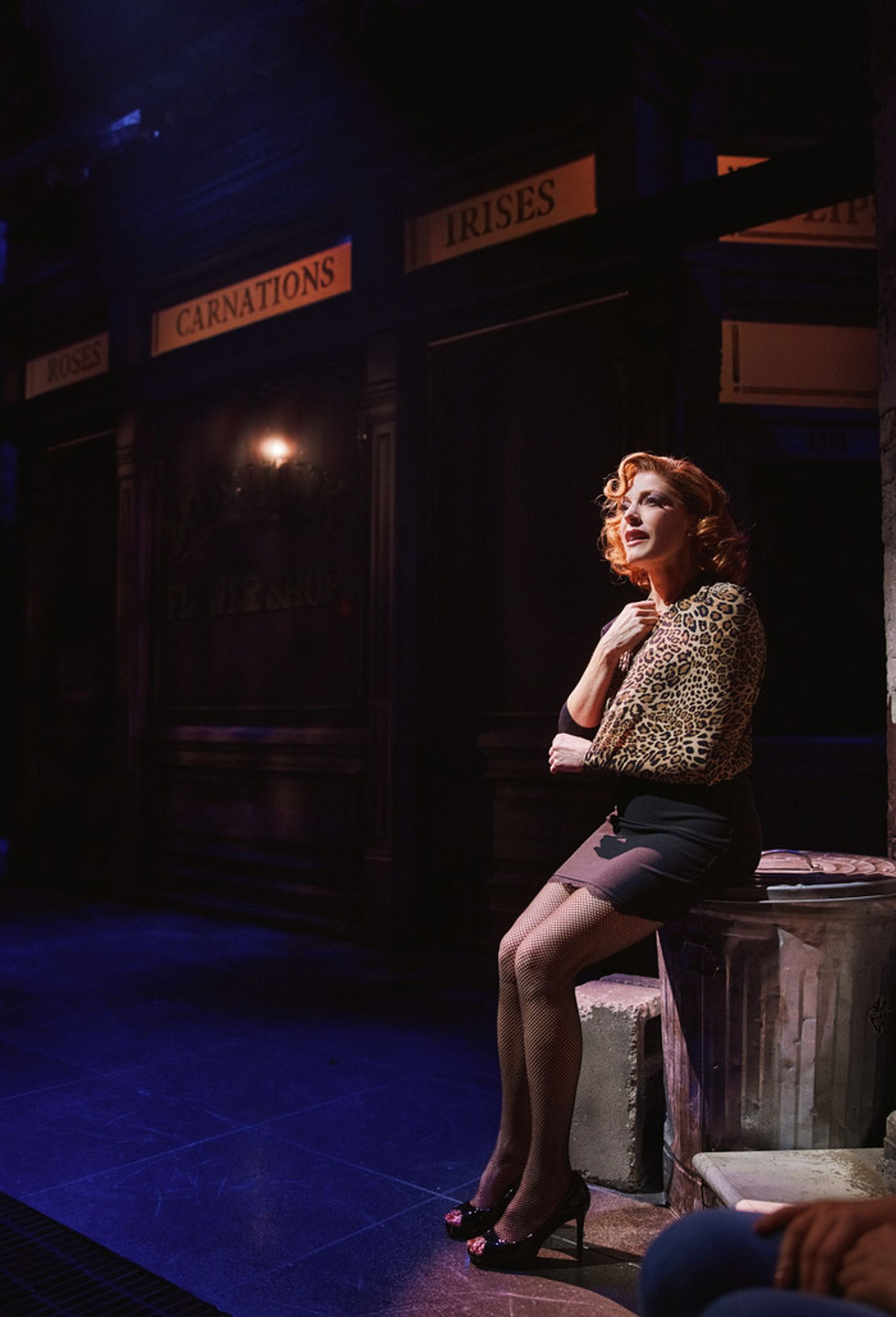 Photos: Sherie Rene Scott and Nicholas Christopher in LITTLE SHOP OF HORRORS  Image