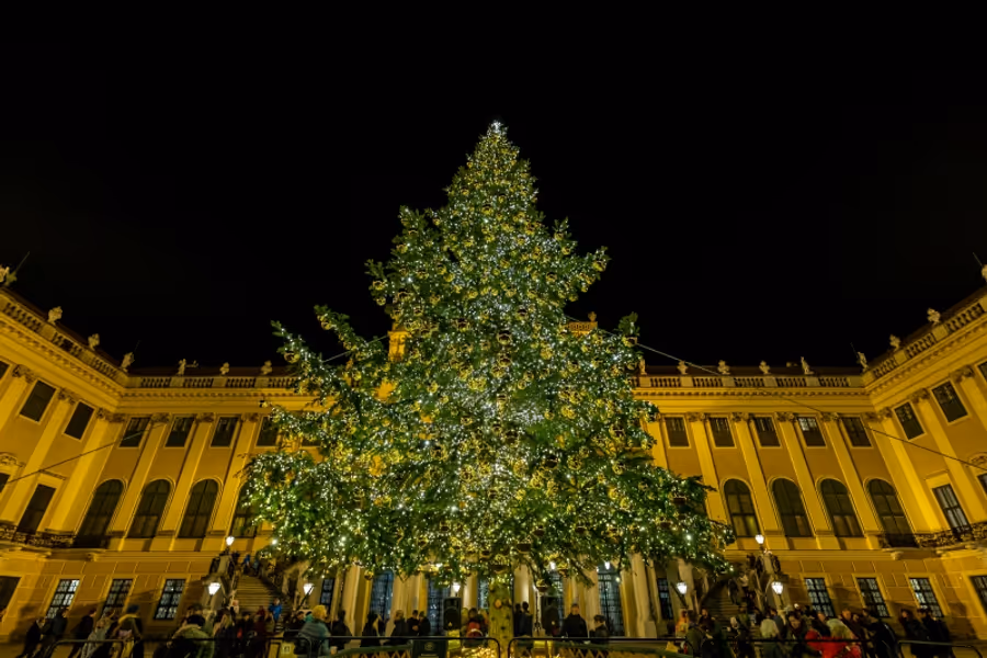 CHRISTMAS MARKET SCHÖNBRUNN at SCHÖNBRUNN PALACE Image