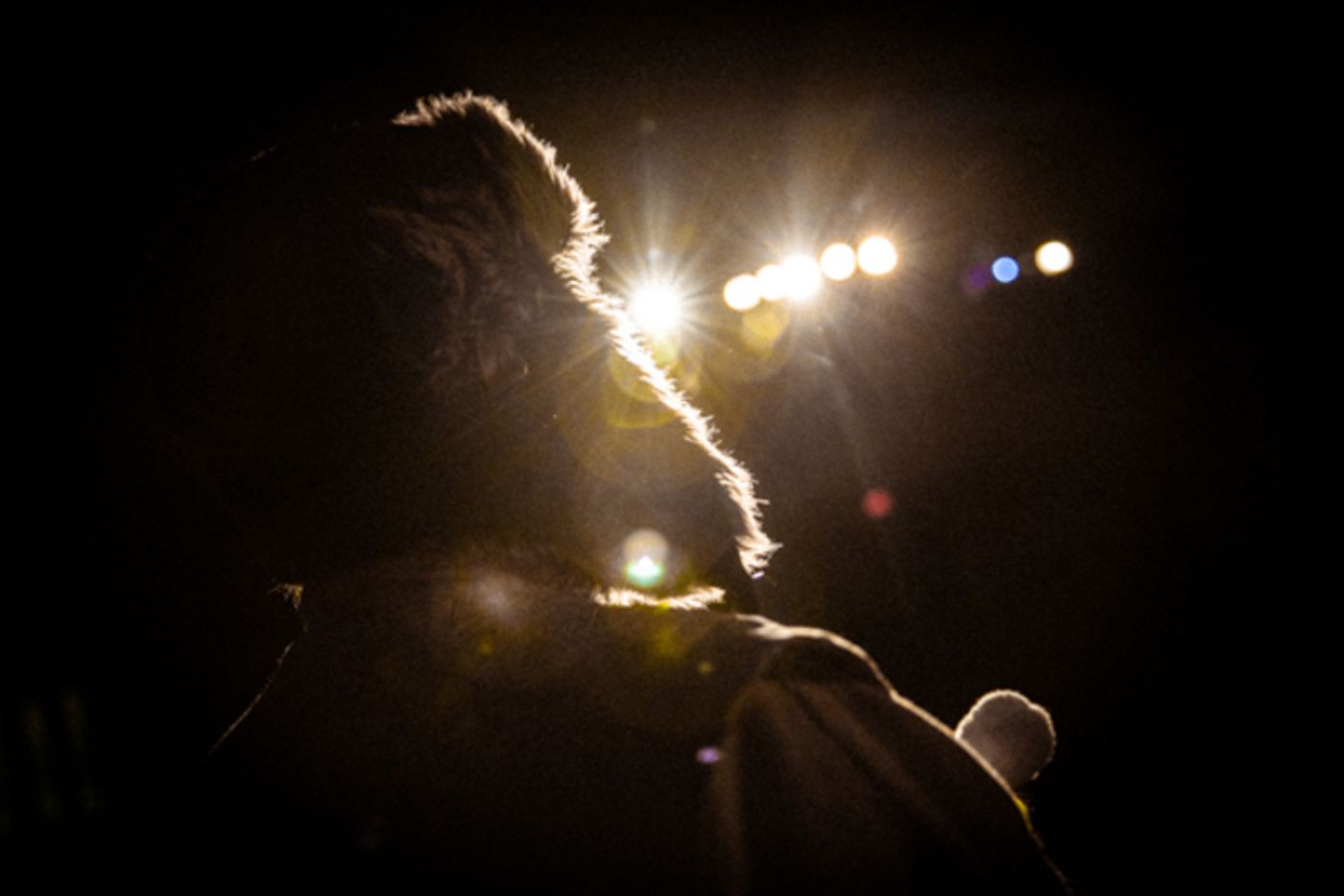 Photos: First look at King Avenue Players’ SEUSSICAL  Image