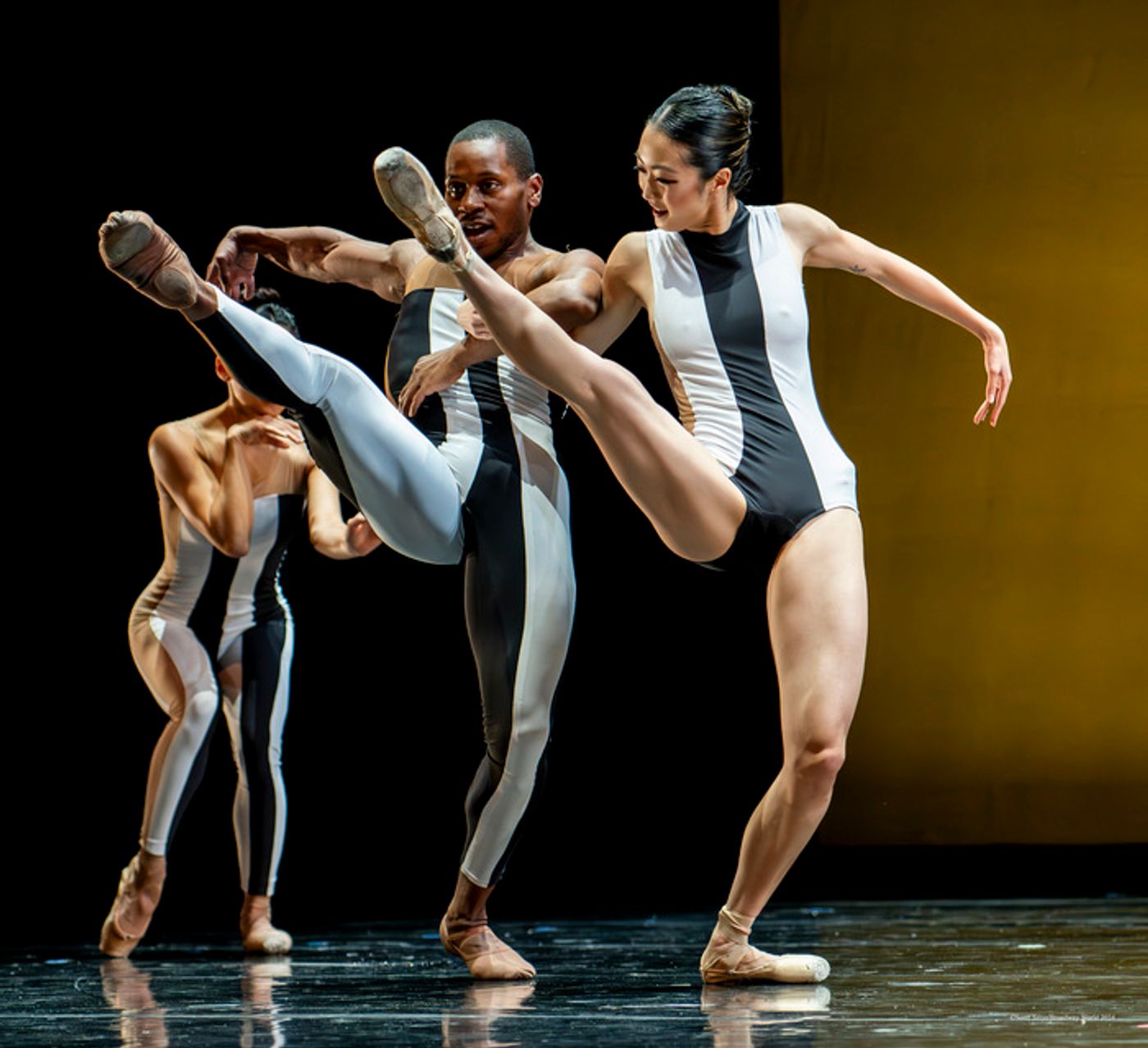 Previews: BALLETX FALL SERIES 2024 at Suzanne Roberts Theatre Previews: BALLETX FALL SERIES 2024 at Suzanne Roberts Theatre Image