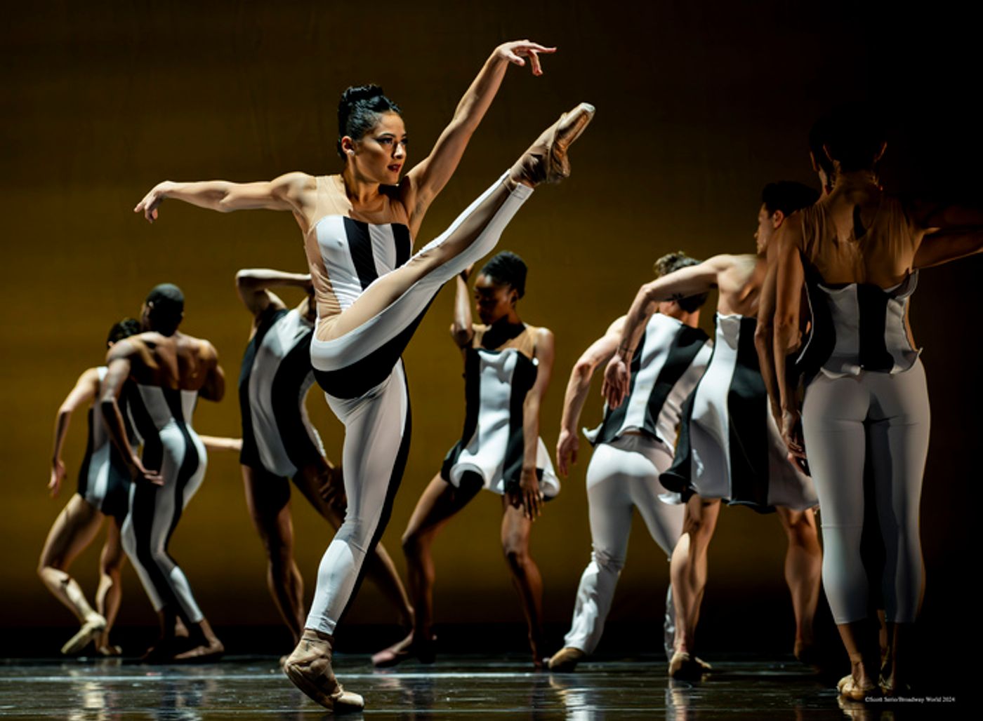 Previews: BALLETX FALL SERIES 2024 at Suzanne Roberts Theatre Previews: BALLETX FALL SERIES 2024 at Suzanne Roberts Theatre Image