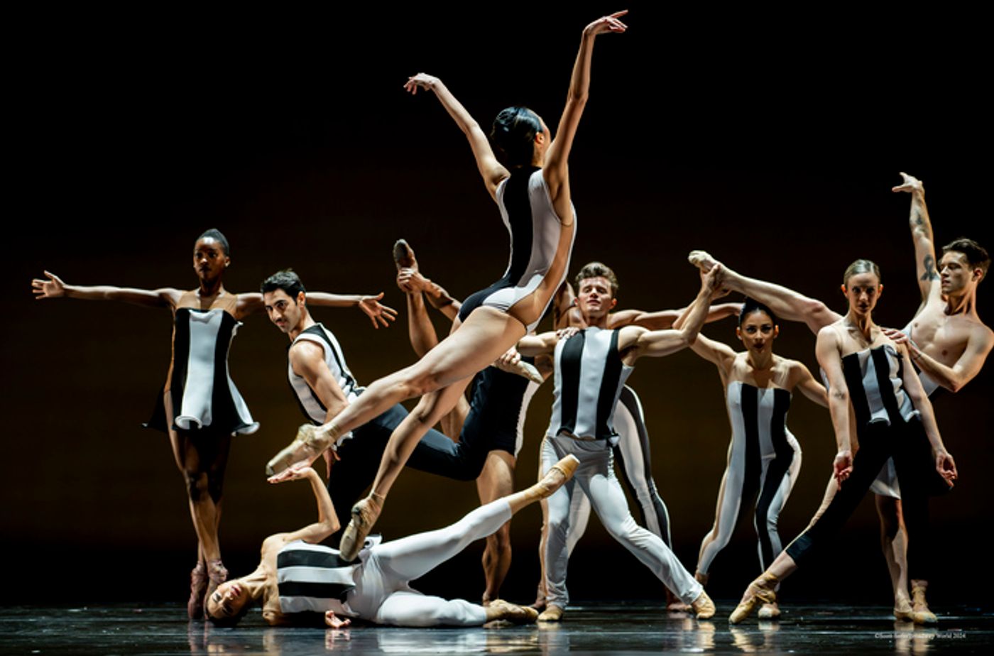 Previews: BALLETX FALL SERIES 2024 at Suzanne Roberts Theatre Previews: BALLETX FALL SERIES 2024 at Suzanne Roberts Theatre Image