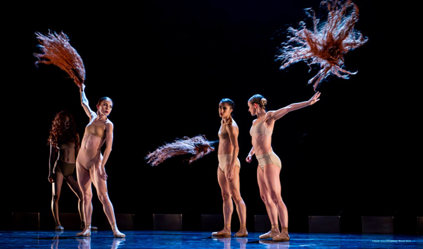 Previews: BALLETX FALL SERIES 2024 at Suzanne Roberts Theatre Previews: BALLETX FALL SERIES 2024 at Suzanne Roberts Theatre Image