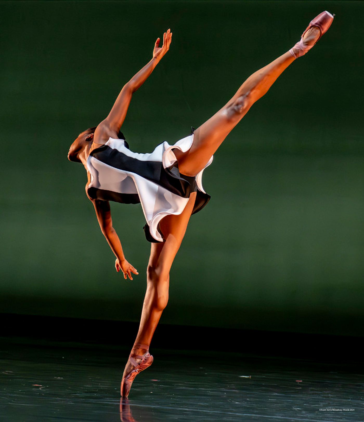 Previews: BALLETX FALL SERIES 2024 at Suzanne Roberts Theatre Previews: BALLETX FALL SERIES 2024 at Suzanne Roberts Theatre Image