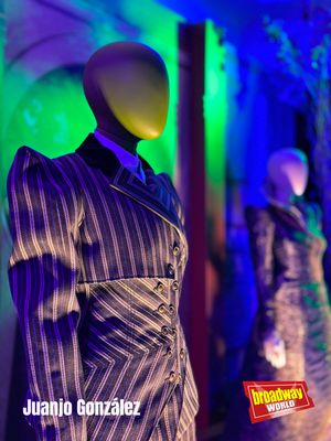 Vestuario original de Elphaba de Cynthia Erivo @ BroadwayWorld Vestuario original de Elphaba de Cynthia Erivo Photo