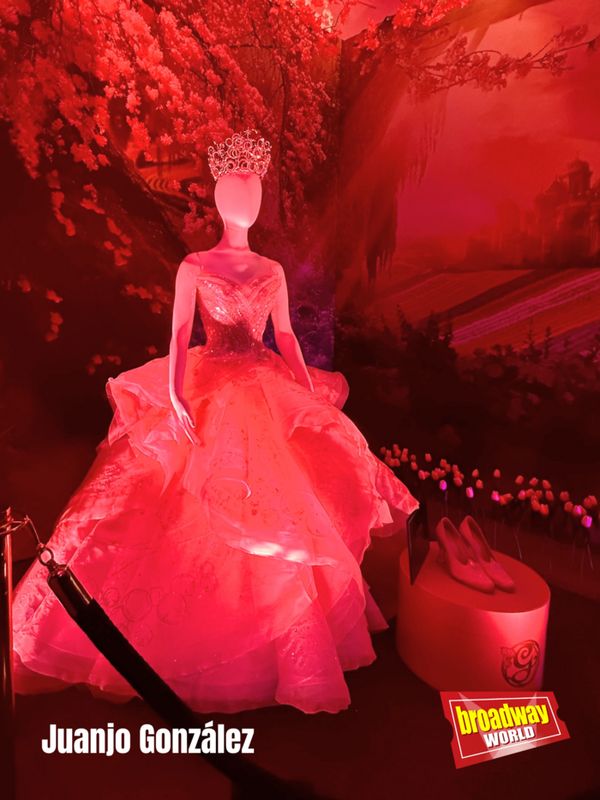 Vestido original de Glinda de Ariana Grande Photo