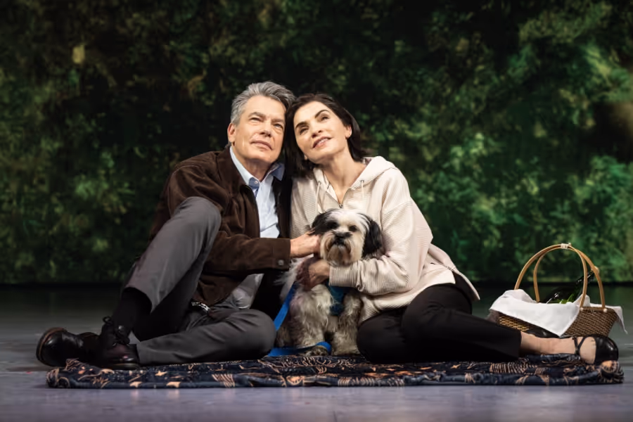 Dance Into 2025 With Advice From Your Favorite Broadway Shows Image