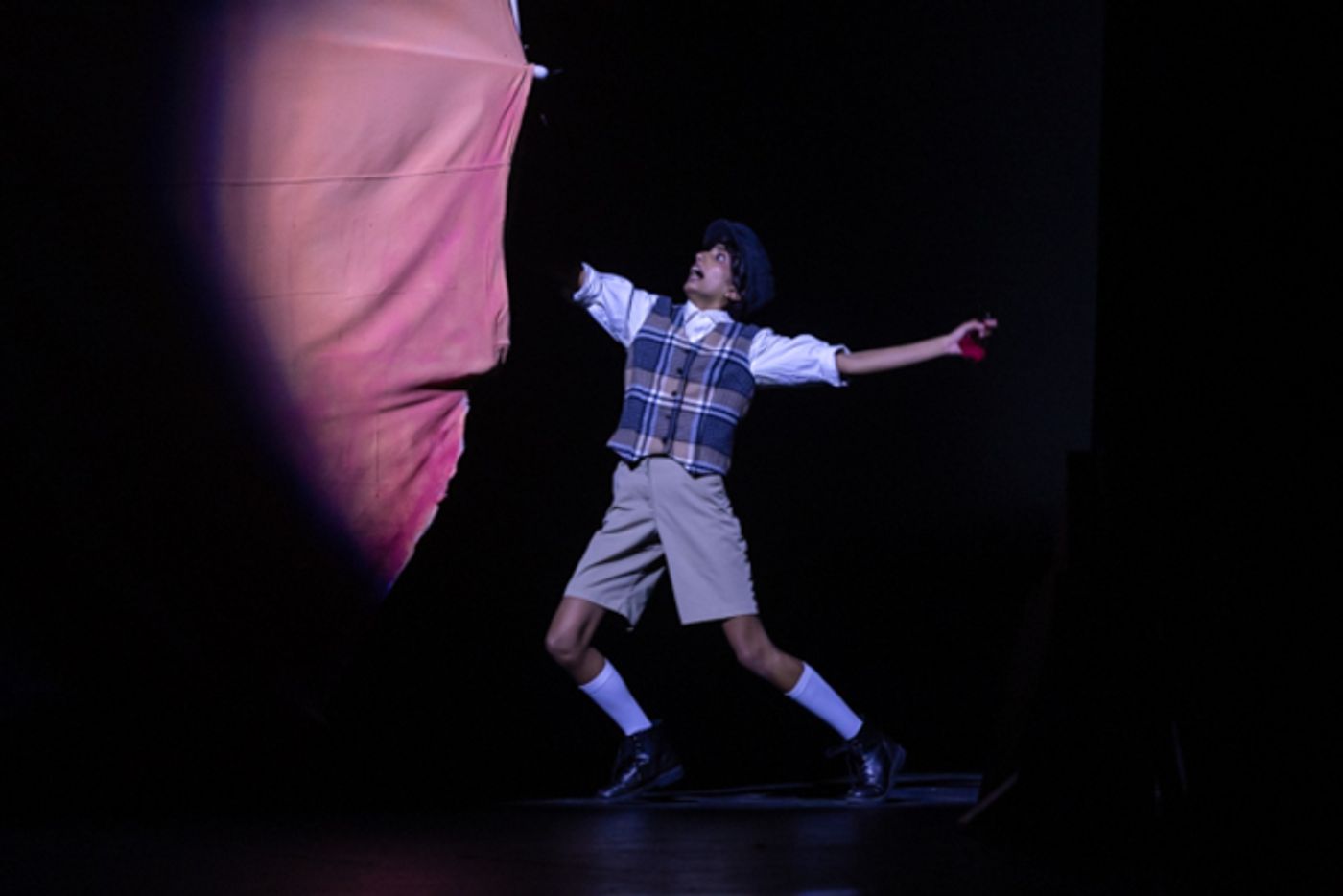 Photos: First look at Dublin Jerome High School's JAMES AND THE GIANT PEACH JR Photos: First look at Dublin Jerome High School's JAMES AND THE GIANT PEACH JR Image