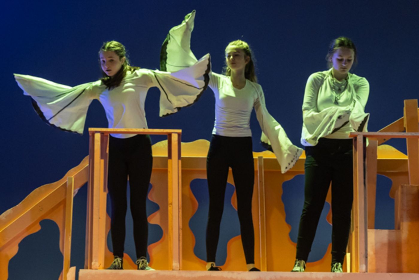 Photos: First look at Dublin Jerome High School's JAMES AND THE GIANT PEACH JR Photos: First look at Dublin Jerome High School's JAMES AND THE GIANT PEACH JR Image