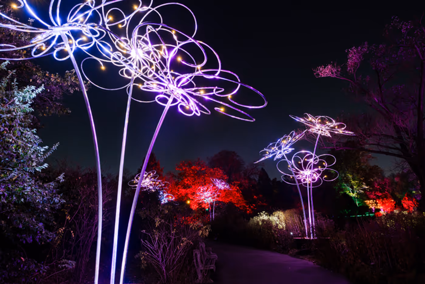 Photos: Brooklyn Botanic Garden's LIGHTSCAPE Photos: Brooklyn Botanic Garden's LIGHTSCAPE Image