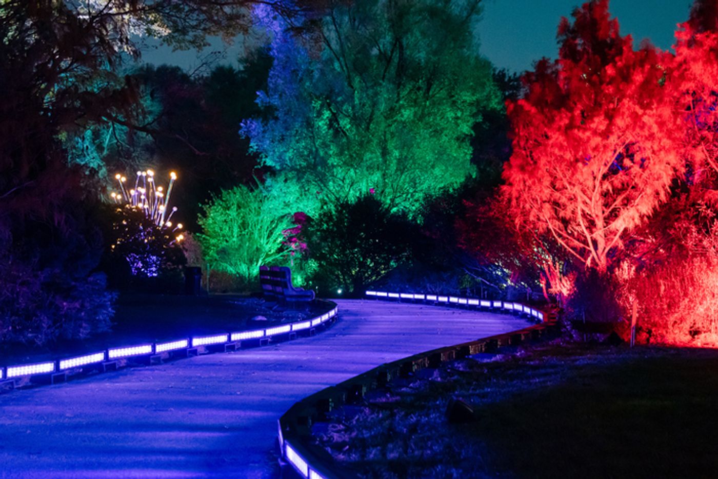 Photos: Brooklyn Botanic Garden's LIGHTSCAPE Photos: Brooklyn Botanic Garden's LIGHTSCAPE Image