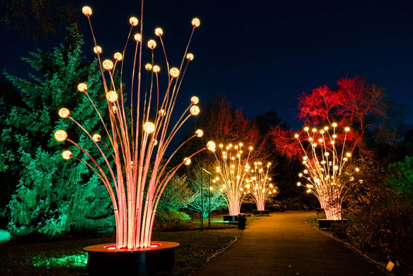 Photos: Brooklyn Botanic Garden's LIGHTSCAPE Photos: Brooklyn Botanic Garden's LIGHTSCAPE Image