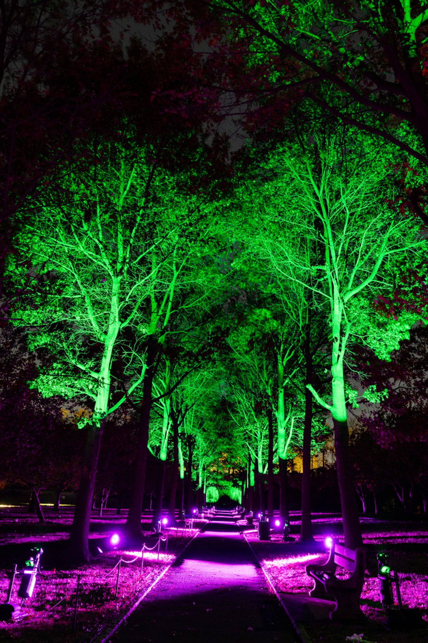 Photos: Brooklyn Botanic Garden's LIGHTSCAPE Photos: Brooklyn Botanic Garden's LIGHTSCAPE Image