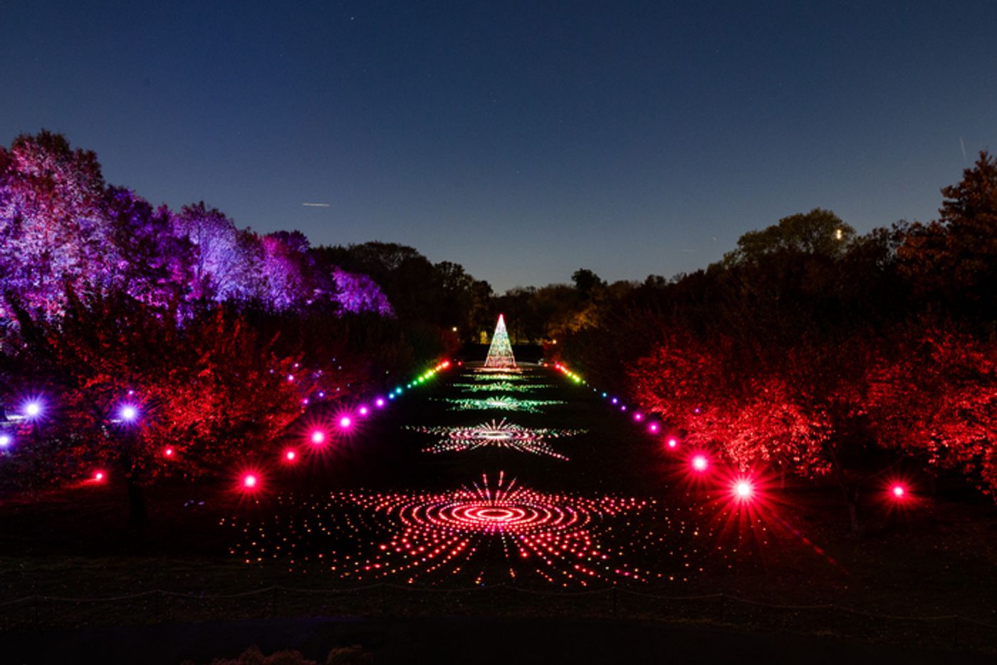 Photos: Brooklyn Botanic Garden's LIGHTSCAPE Photos: Brooklyn Botanic Garden's LIGHTSCAPE Image