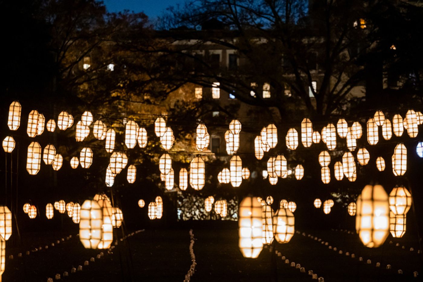 Photos: Brooklyn Botanic Garden's LIGHTSCAPE Photos: Brooklyn Botanic Garden's LIGHTSCAPE Image