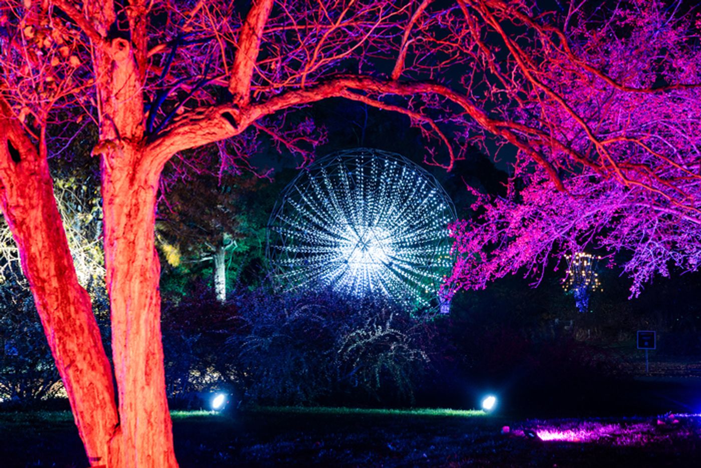 Photos: Brooklyn Botanic Garden's LIGHTSCAPE Photos: Brooklyn Botanic Garden's LIGHTSCAPE Image
