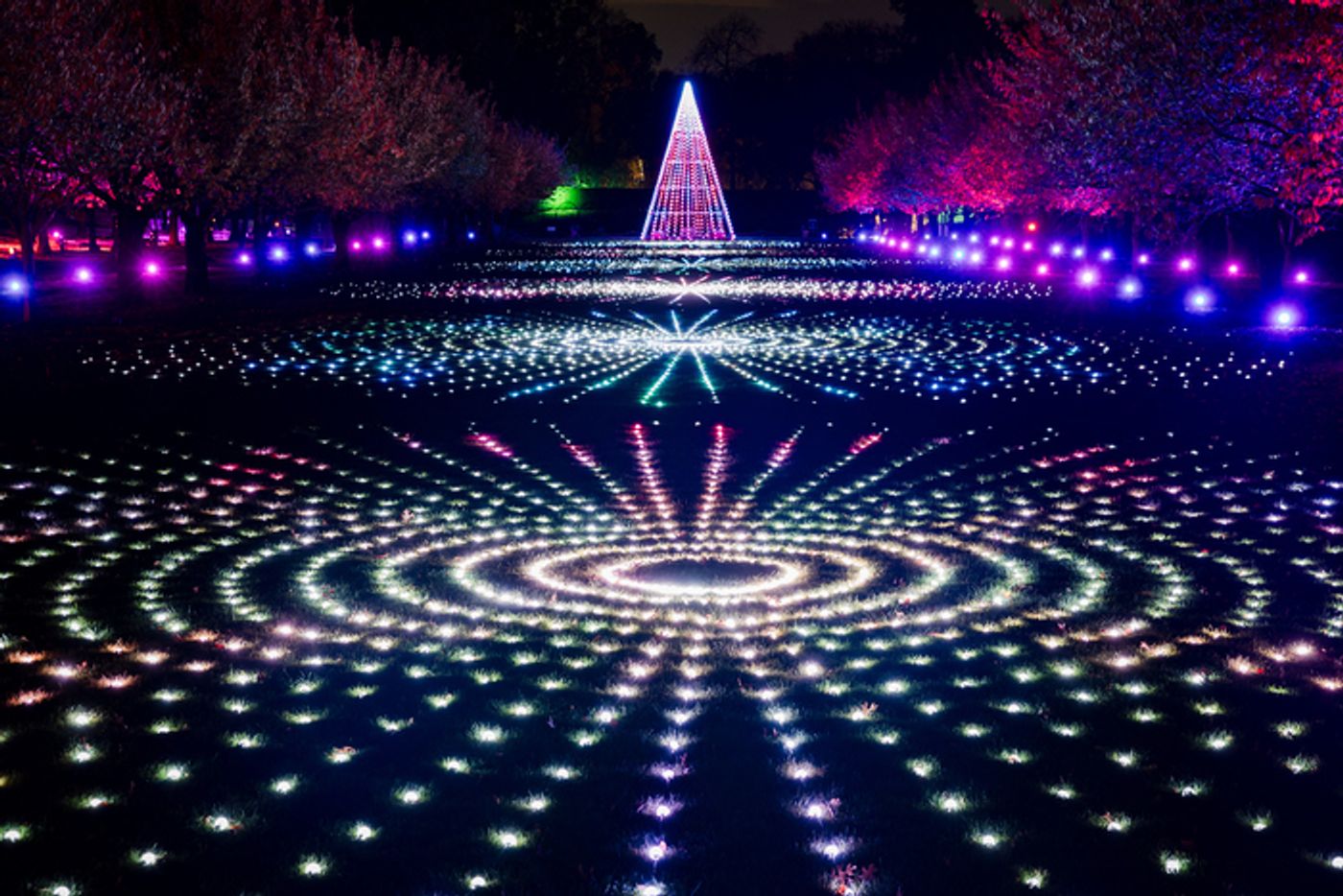 Photos: Brooklyn Botanic Garden's LIGHTSCAPE Photos: Brooklyn Botanic Garden's LIGHTSCAPE Image