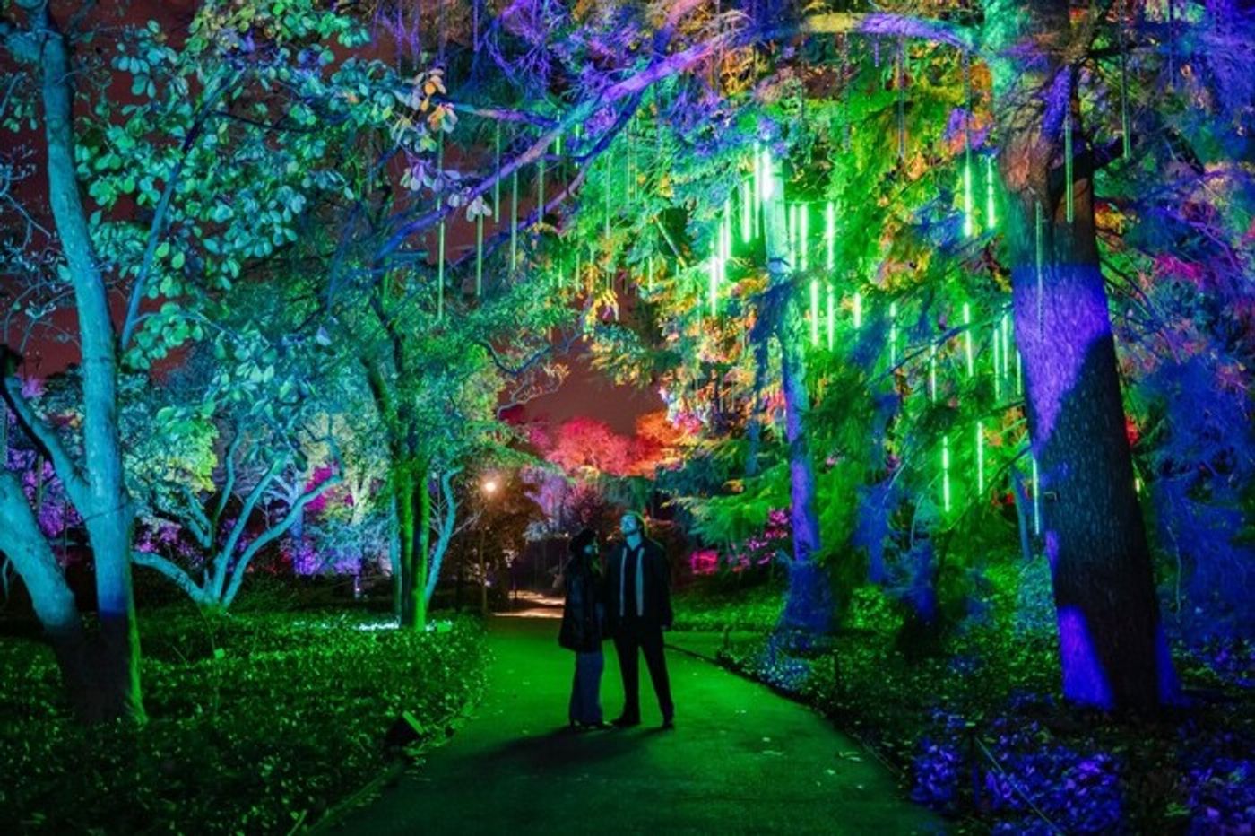 Photos: Brooklyn Botanic Garden's LIGHTSCAPE Photos: Brooklyn Botanic Garden's LIGHTSCAPE Image
