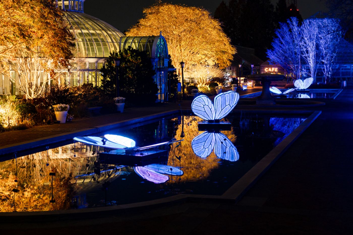 Photos: Brooklyn Botanic Garden's LIGHTSCAPE Photos: Brooklyn Botanic Garden's LIGHTSCAPE Image