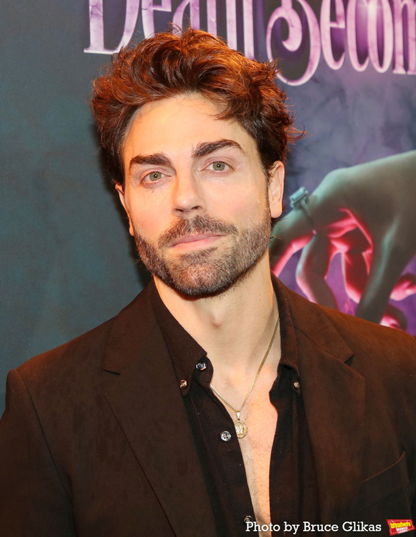 Photos: Stars Arrive at DEATH BECOMES HER on Opening Night  Image