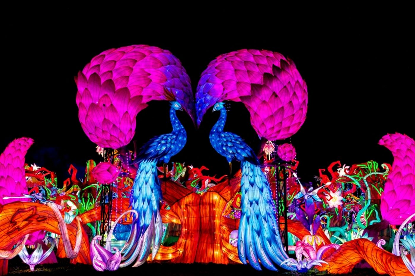 TIANYU LIGHTS FESTIVAL Makes NYC Debut-Tickets on Sale Now TIANYU LIGHTS FESTIVAL Makes NYC Debut-Tickets on Sale Now Image