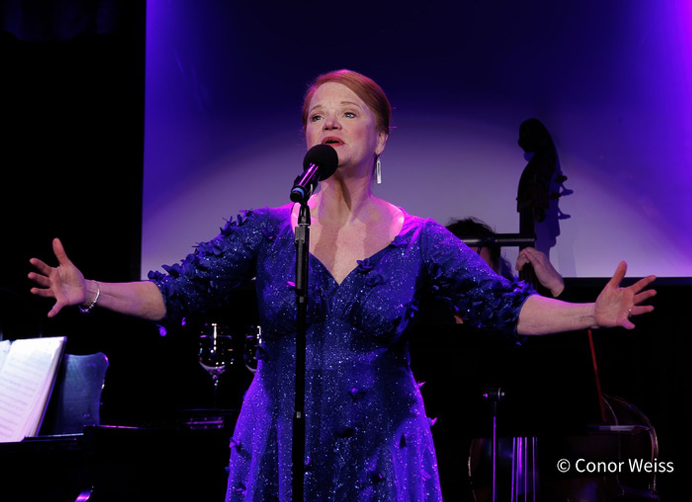 Photos: Highlights from Melodie Wolford's WAITING IN THE WINGS at the Triad  Image