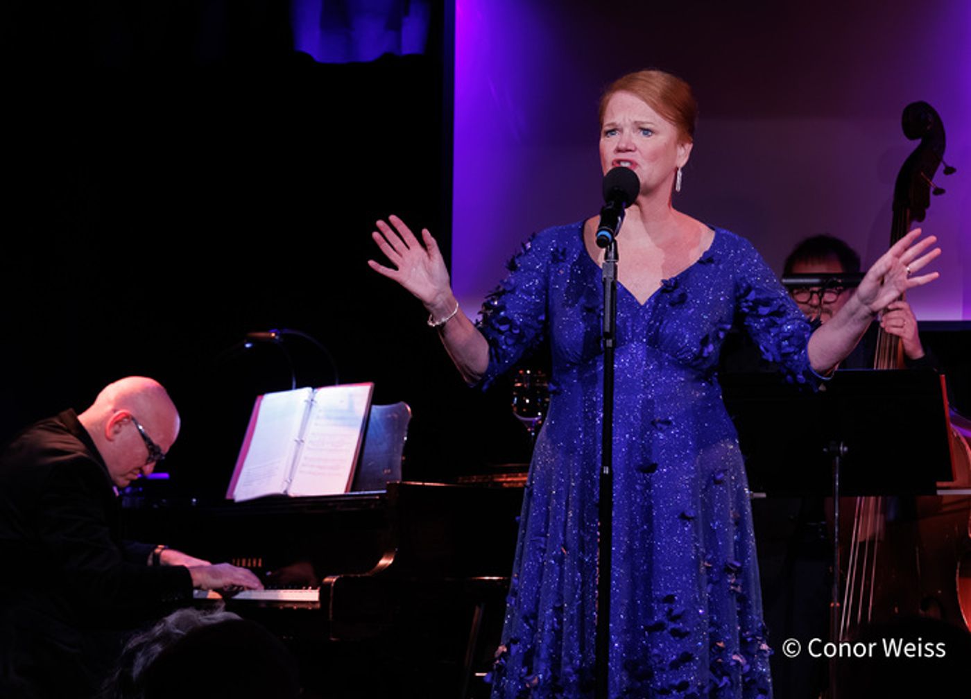 Photos: Highlights from Melodie Wolford's WAITING IN THE WINGS at the Triad  Image