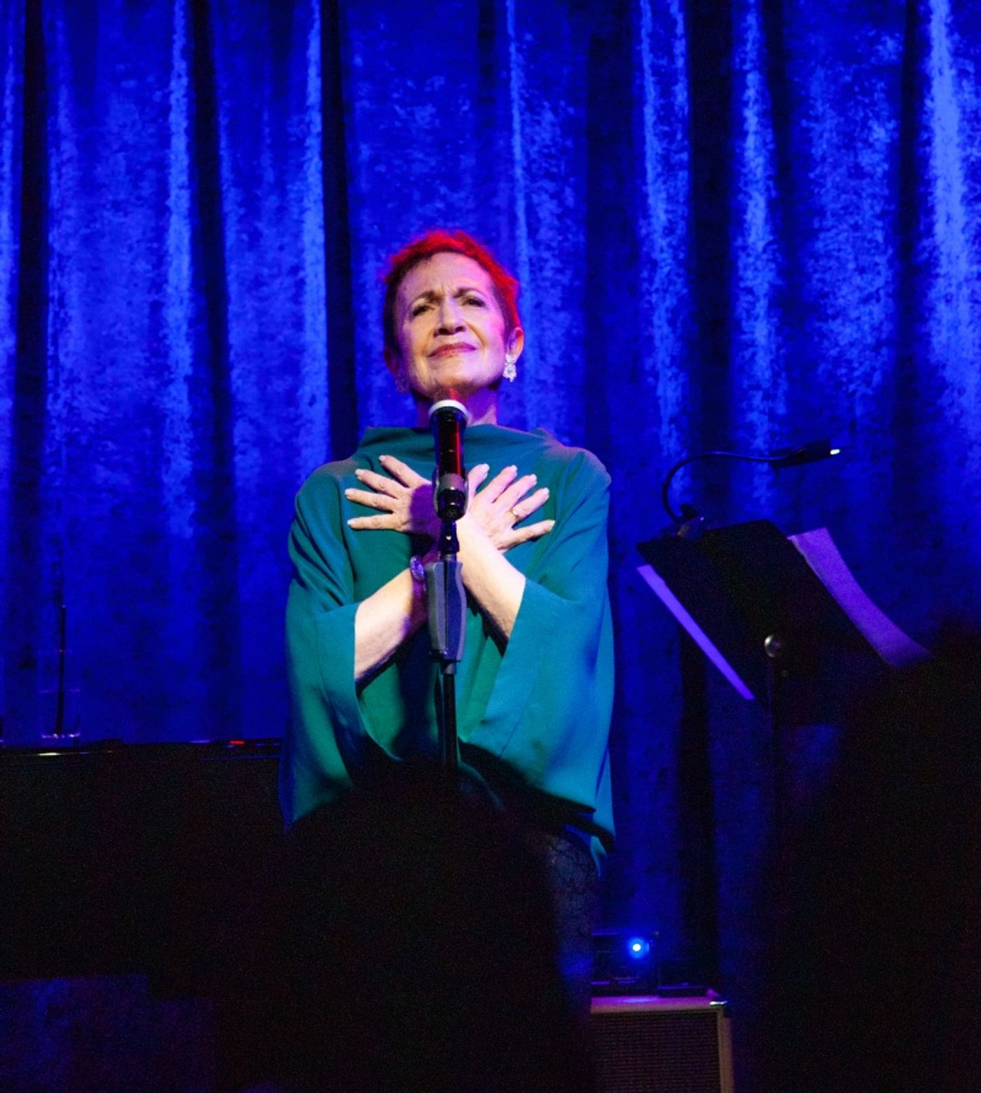 Review: Joanne Halev Ends Five-Year Break With SAILING ON at Birdland Theater Review: Joanne Halev Ends Five-Year Break With SAILING ON at Birdland Theater Image