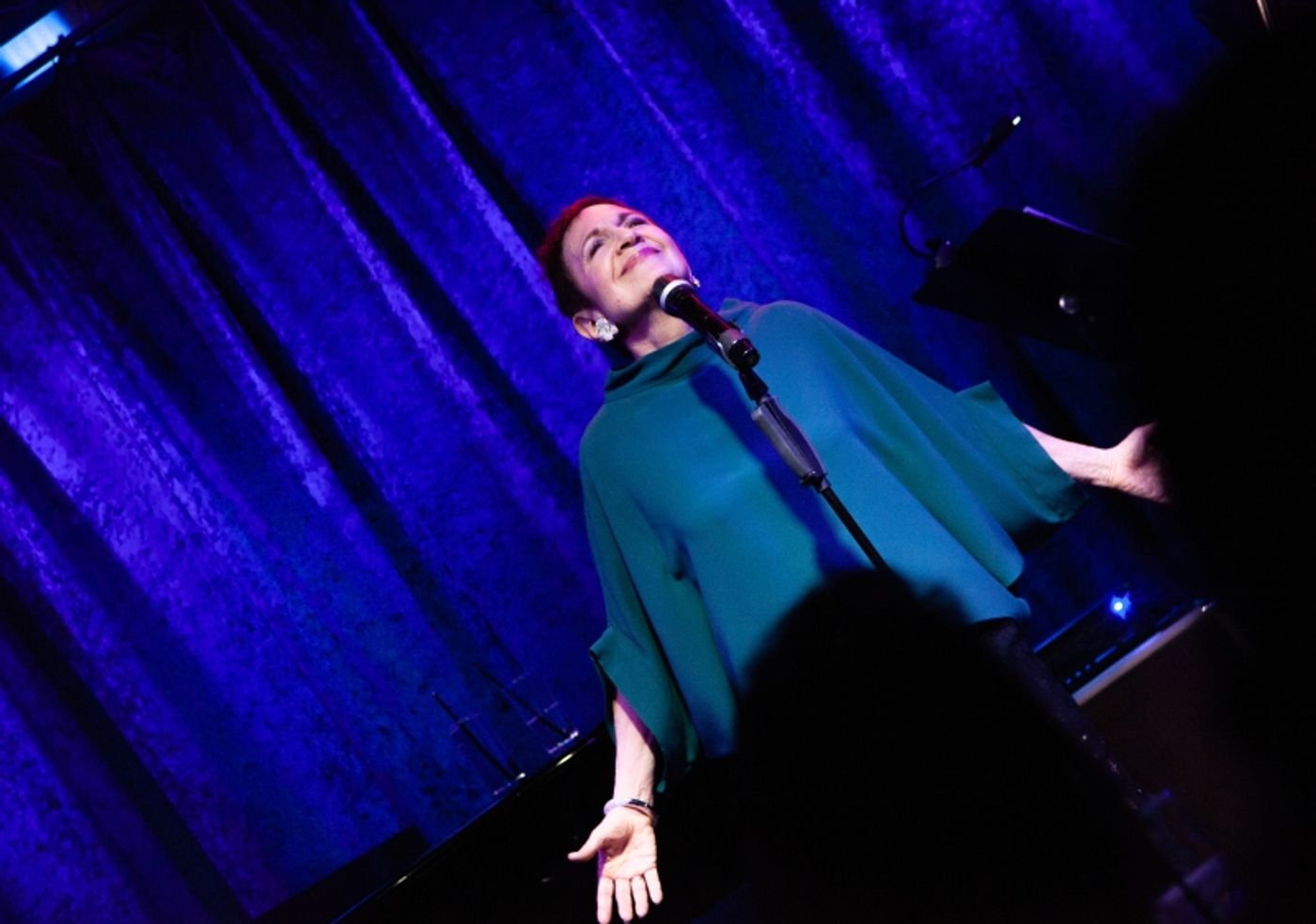 Review: Joanne Halev Ends Five-Year Break With SAILING ON at Birdland Theater Review: Joanne Halev Ends Five-Year Break With SAILING ON at Birdland Theater Image