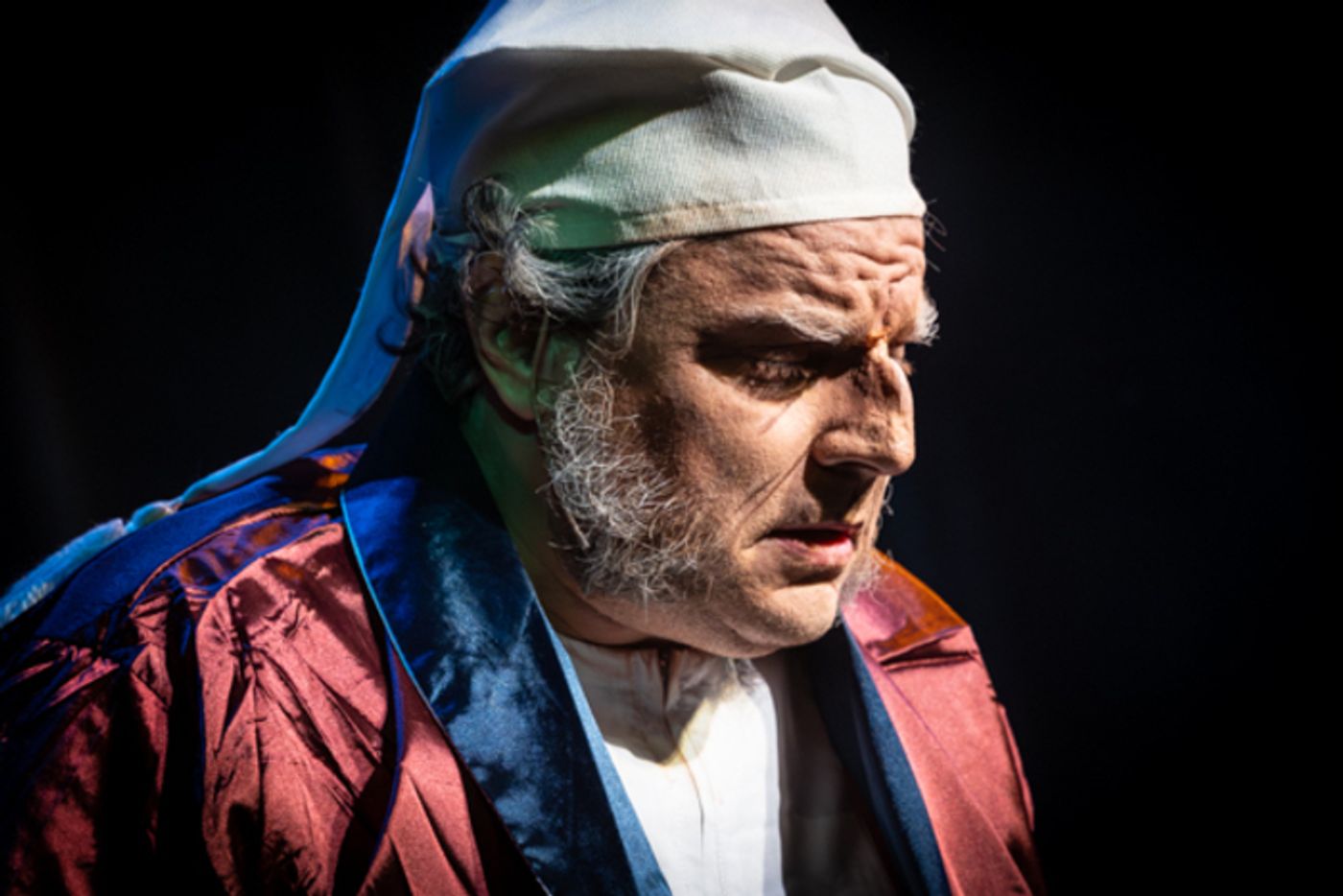 Photos: First look at Mount Vernon Arts Consortium’s A CHRISTMAS CAROL  Image