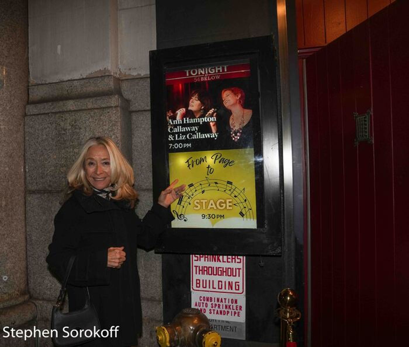 Photos: Ann Hampton Callaway & Liz Callaway's NEW YORK STATE OF MIND at 54 Below  Image