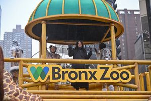 Idina Menzel on the Bronx Zoo Float @ BroadwayWorld Idina Menzel on the Bronx Zoo Float Photo