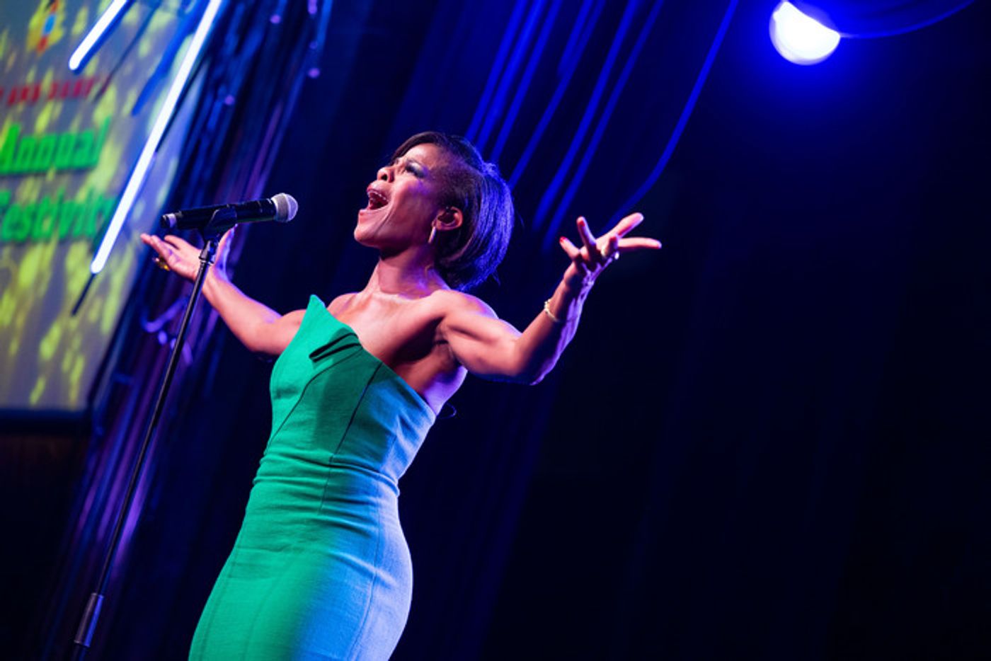 Photos: Inside ?Drew & Dane's 32nd Annual Festivity Supporting Broadway Cares  Image