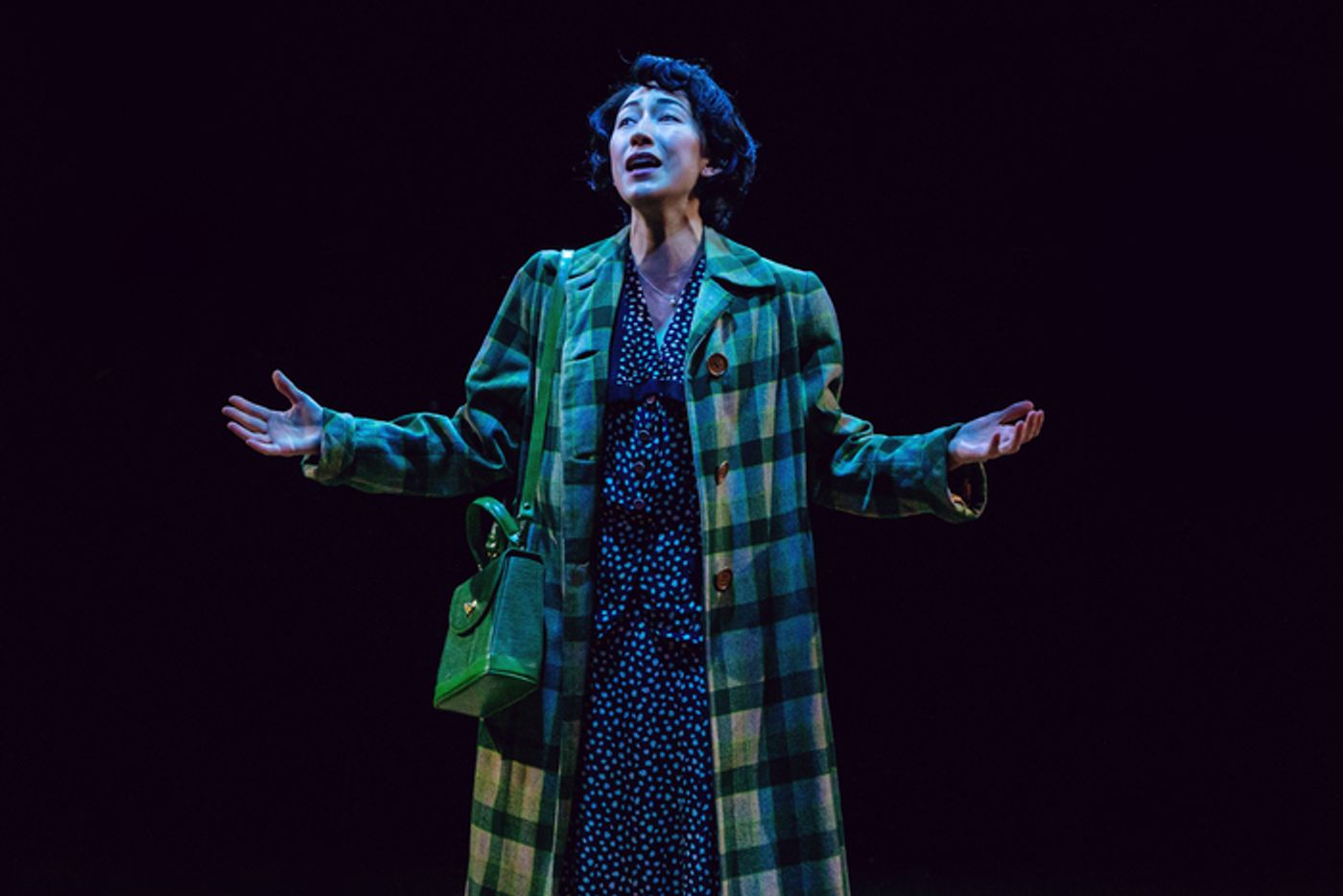 Photos: SHE LOVES ME At Long Wharf Theatre Photos: SHE LOVES ME At Long Wharf Theatre Image