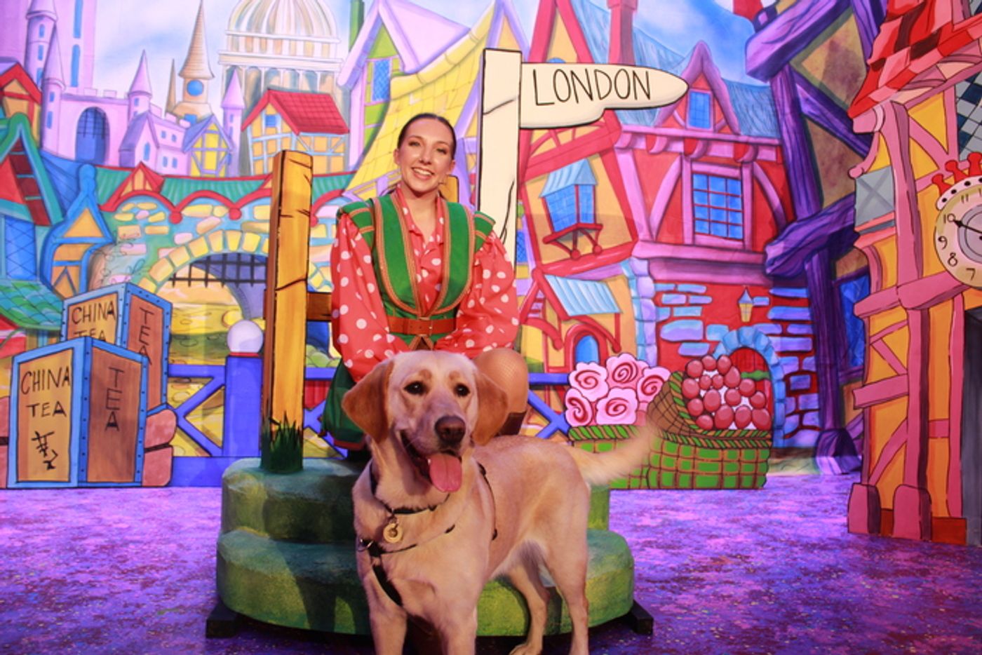 Photos: DICK WHITTINGTON Cast At The Belgrade Theatre Joined On Stage By Guide Dog Puppies Photos: DICK WHITTINGTON Cast At The Belgrade Theatre Joined On Stage By Guide Dog Puppies Image