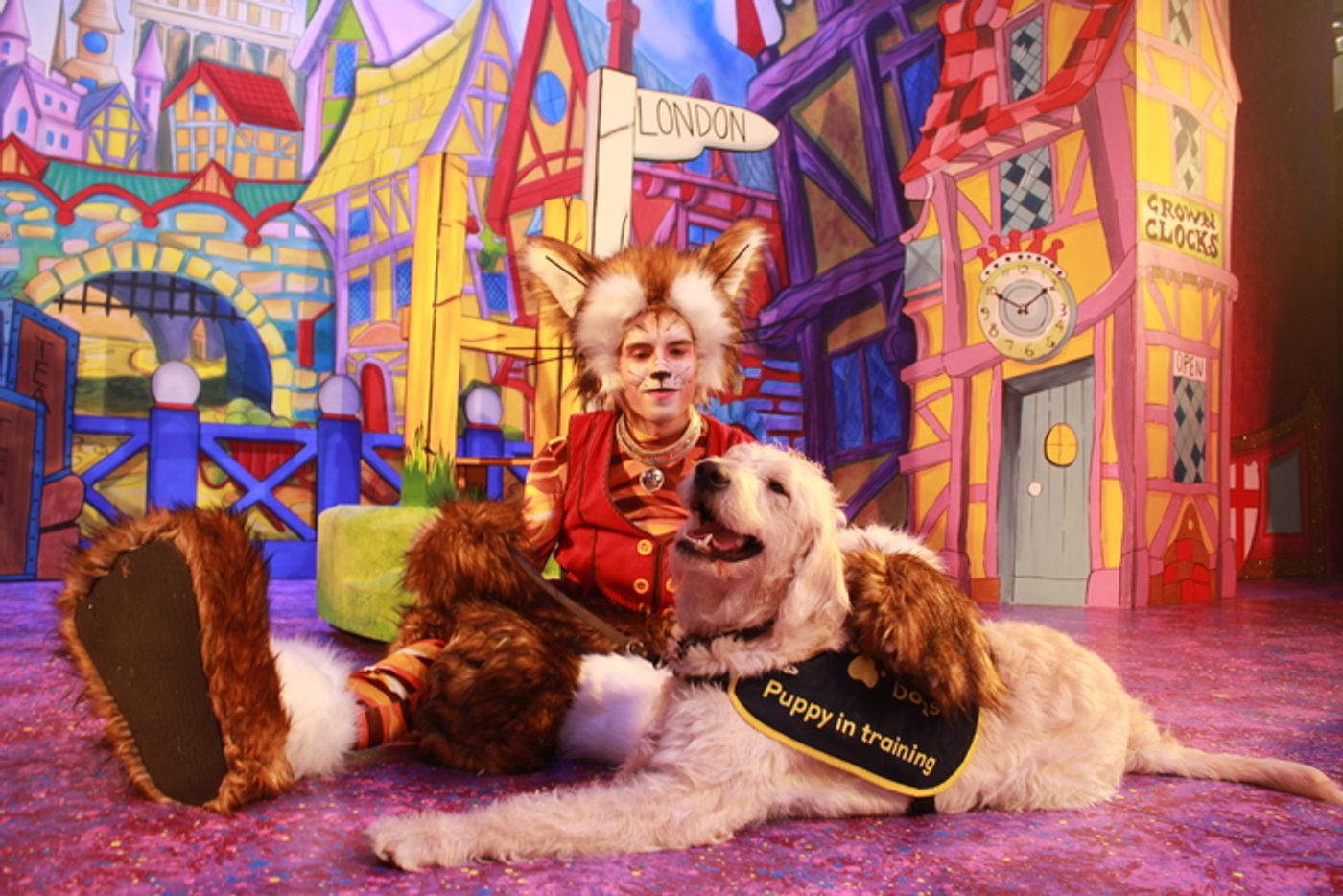 Photos: DICK WHITTINGTON Cast At The Belgrade Theatre Joined On Stage By Guide Dog Puppies Photos: DICK WHITTINGTON Cast At The Belgrade Theatre Joined On Stage By Guide Dog Puppies Image