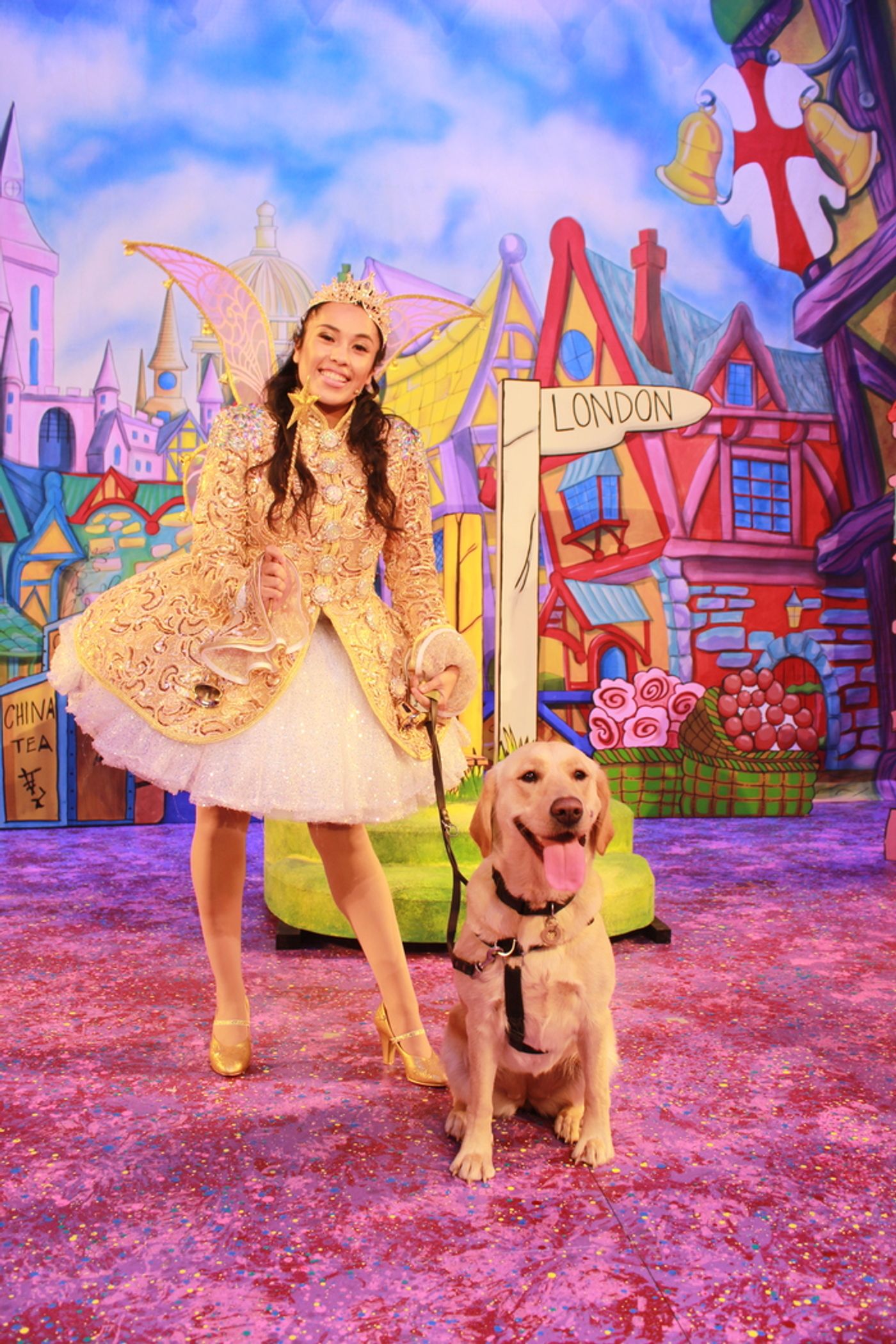 Photos: DICK WHITTINGTON Cast At The Belgrade Theatre Joined On Stage By Guide Dog Puppies Photos: DICK WHITTINGTON Cast At The Belgrade Theatre Joined On Stage By Guide Dog Puppies Image
