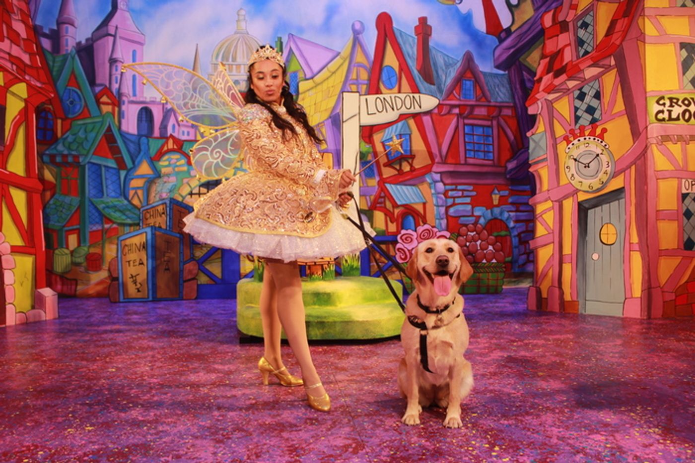 Photos: DICK WHITTINGTON Cast At The Belgrade Theatre Joined On Stage By Guide Dog Puppies Photos: DICK WHITTINGTON Cast At The Belgrade Theatre Joined On Stage By Guide Dog Puppies Image