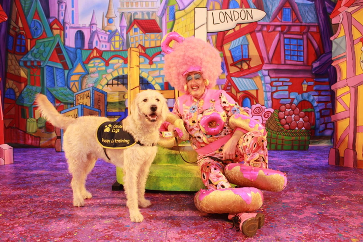 Photos: DICK WHITTINGTON Cast At The Belgrade Theatre Joined On Stage By Guide Dog Puppies Photos: DICK WHITTINGTON Cast At The Belgrade Theatre Joined On Stage By Guide Dog Puppies Image