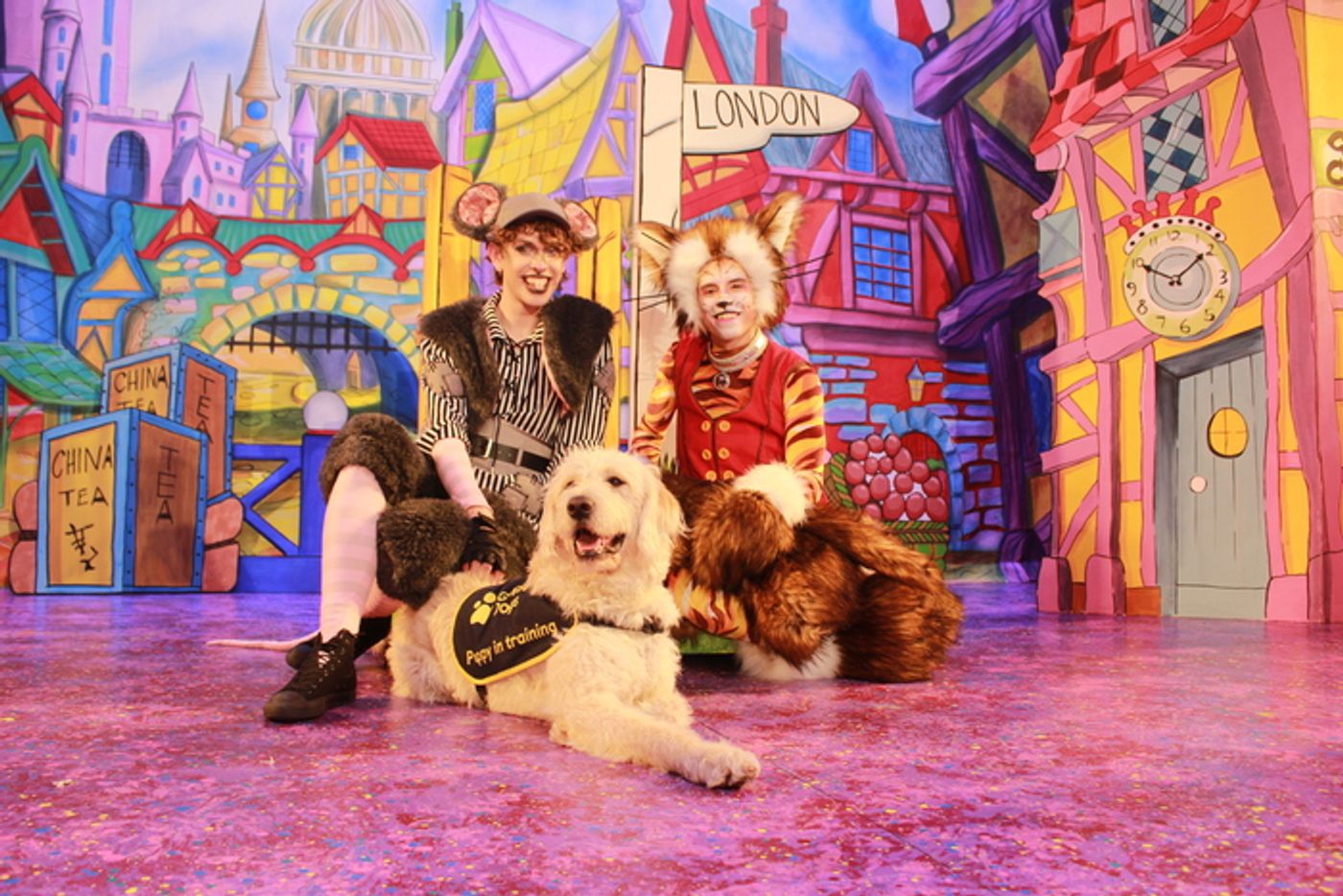 Photos: DICK WHITTINGTON Cast At The Belgrade Theatre Joined On Stage By Guide Dog Puppies Photos: DICK WHITTINGTON Cast At The Belgrade Theatre Joined On Stage By Guide Dog Puppies Image