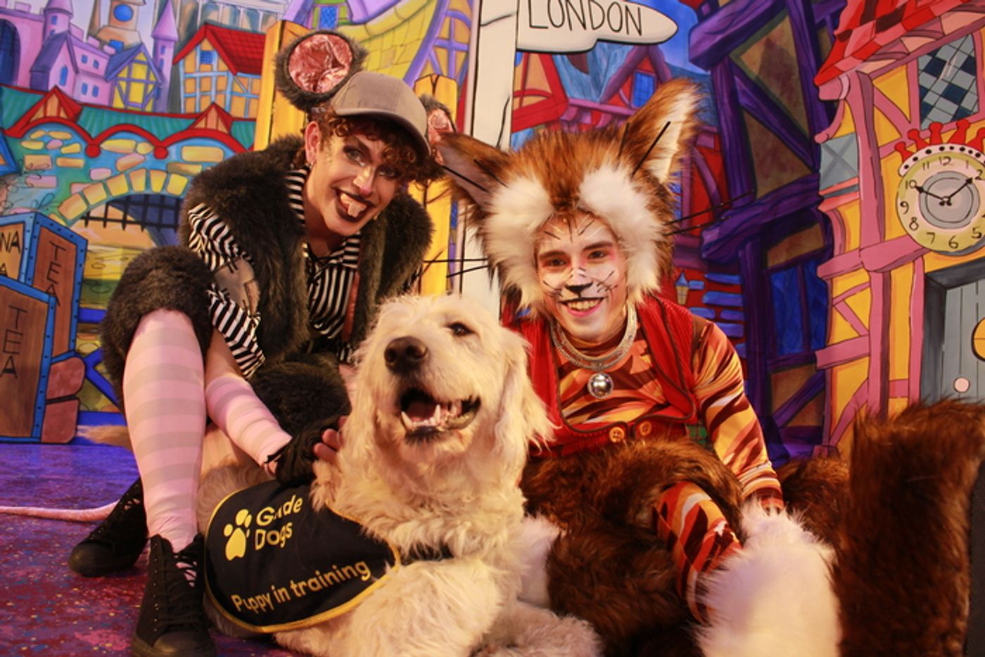 Photos: DICK WHITTINGTON Cast At The Belgrade Theatre Joined On Stage By Guide Dog Puppies Photos: DICK WHITTINGTON Cast At The Belgrade Theatre Joined On Stage By Guide Dog Puppies Image